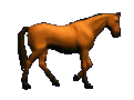 Click image for larger version

Name:	Horses (3).gif
Views:	220
Size:	26.1 KB
ID:	497298