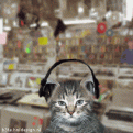 Click image for larger version

Name:	rappingcats (4).gif
Views:	173
Size:	197.4 KB
ID:	497493