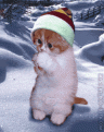 Click image for larger version

Name:	Cats (3).gif
Views:	184
Size:	38.6 KB
ID:	497578