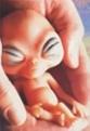 Click image for larger version

Name:	The Alien Baby.jpg
Views:	160
Size:	51.8 KB
ID:	497627