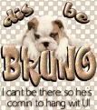 Click image for larger version

Name:	bruno.gif
Views:	255
Size:	104.0 KB
ID:	497908